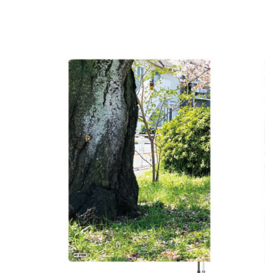 6ac024c480c1896a40d0d734