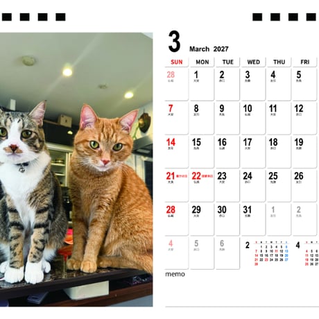 【予約販売】 もち＆むぎ 猫 2027年 卓上 カレンダー TA27299