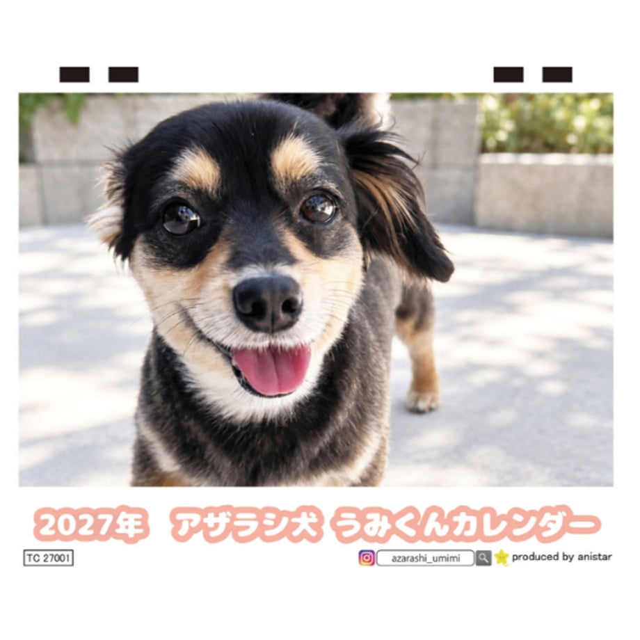 6abf7ca37855d04a35130f30