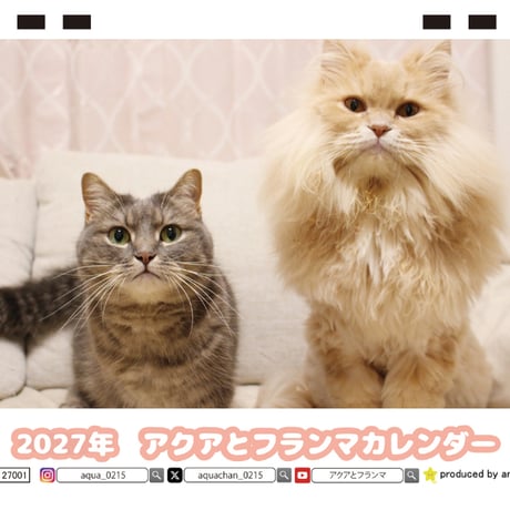 【予約販売】 アクアとフランマ 猫 マンチカン サイベリアン 2027年 卓上 カレンダー TC27181