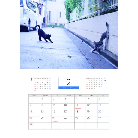 【予約販売】 ねこかます 猫 2027年 壁掛け カレンダー KK27125