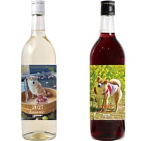 【予約販売】 柴犬 小雨 2027年 紅白ワイン2本セットNo10 010NN2H
