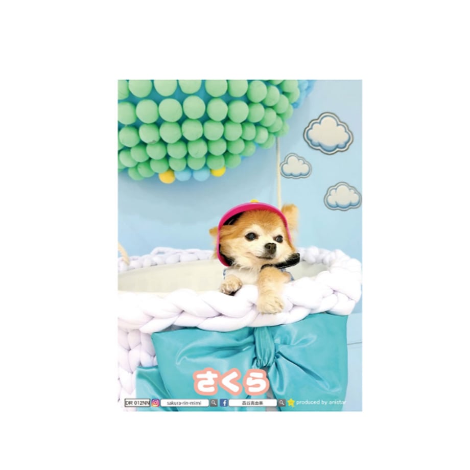 6aaa99575b62ef10718d7bb4
