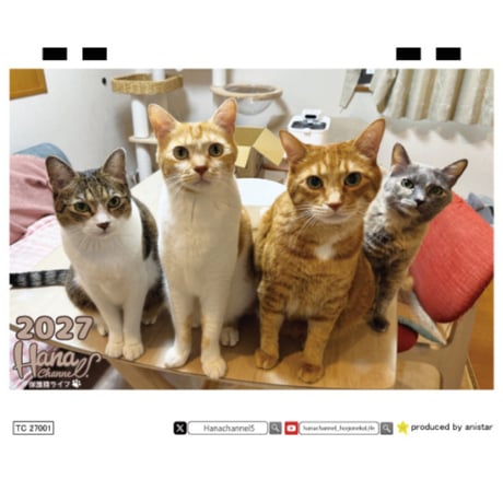 【予約販売】 Hana Channel 保護猫ライフ 2027年 卓上 カレンダー TC27301