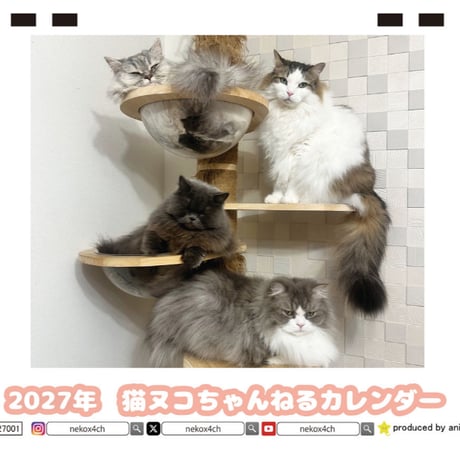【予約販売】 猫ヌコチャンネル 2027年 卓上 カレンダー TC27170