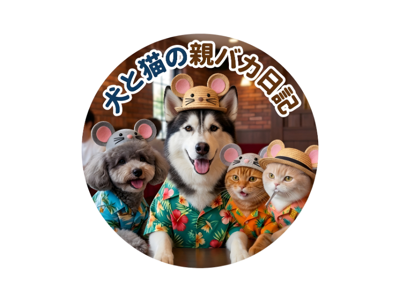 予約販売】 犬と猫の親バカ日記 缶バッジNo7 3個セット GE007NN | ANISTAR