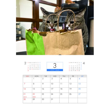 【予約販売】 ねころぐ 猫 2027年 壁掛け カレンダー KK27263
