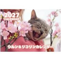 【予約販売】 ウルン＆リコリン 猫 2027年 壁掛け カレンダー KK27219