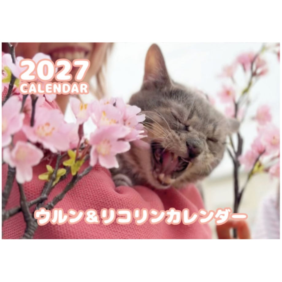 6ace57a8fe00fdec3f317b8b