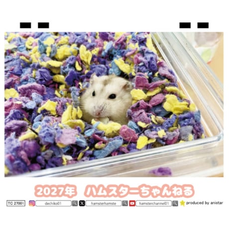 【予約販売】 ハムスターちゃんねる 2027年 卓上 カレンダー TC27260