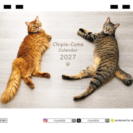 【予約販売】 しぴ＆おこめ 猫 2027年 卓上 カレンダー TC27277