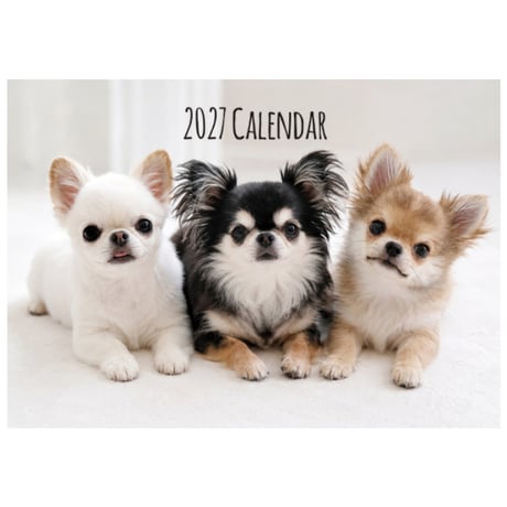 【予約販売】 うに&えび&とろ チワワ 犬 2027年 壁掛け カレンダー KK27202