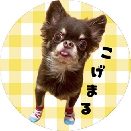 【予約販売】 ここまる三兄弟 缶バッジ No12 3個セット GE012NN