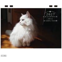 【予約販売】 あつまれちいかまの森 猫 2027年 卓上全面 カレンダー TC27308