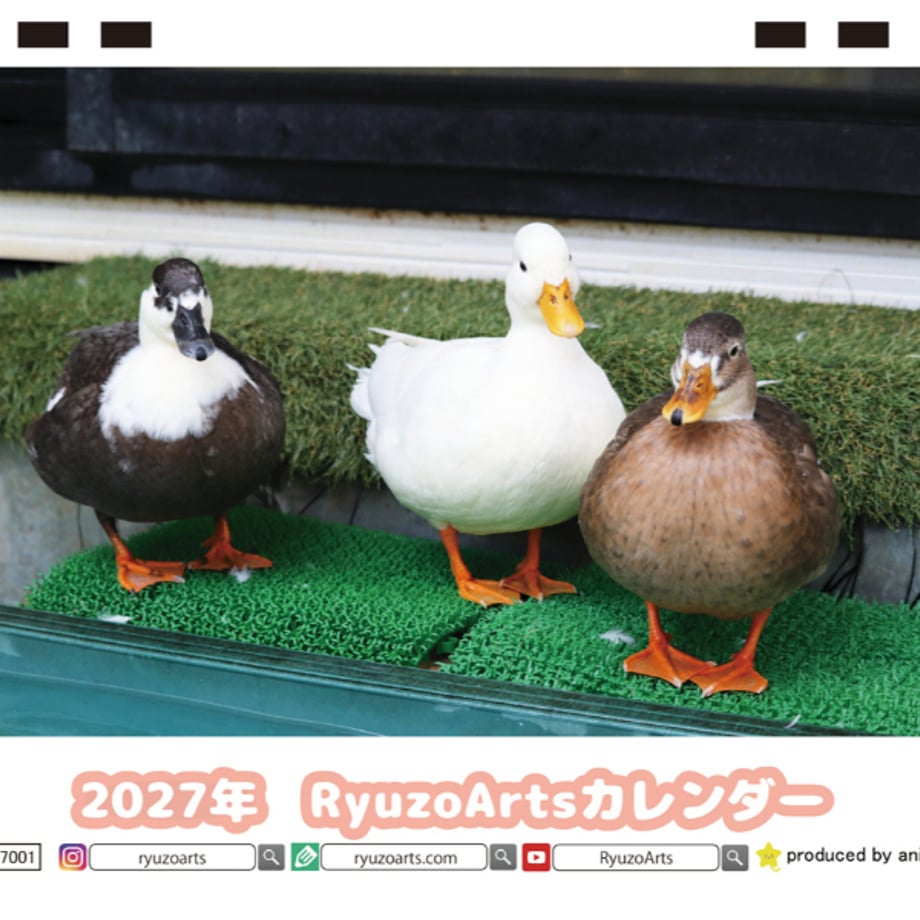 6ac7342f2a30bd9ca3e0294a