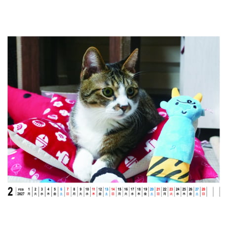 【予約販売】 リキちゃんねる 猫 2027年 卓上 カレンダー TC27283