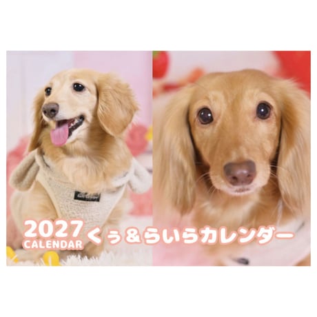 【予約販売】 くぅ＆らいら ミニチュアダックス 犬 2027年 壁掛け カレンダー KK27249