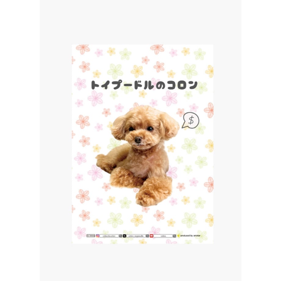 6a9c99dd191eb7a665ea07f5