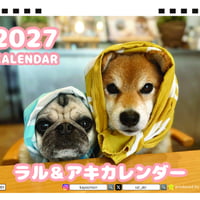 【予約販売】 ラル＆アキ パグ 柴犬 2027年 卓上 カレンダー TA27150