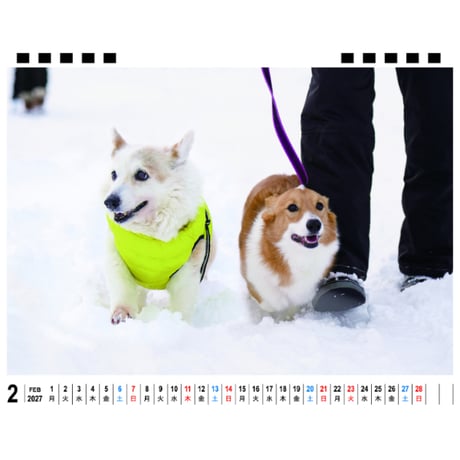 【予約販売】 ノエル＆モナ コーギー 犬 2027年 卓上 全面 カレンダー TA27265