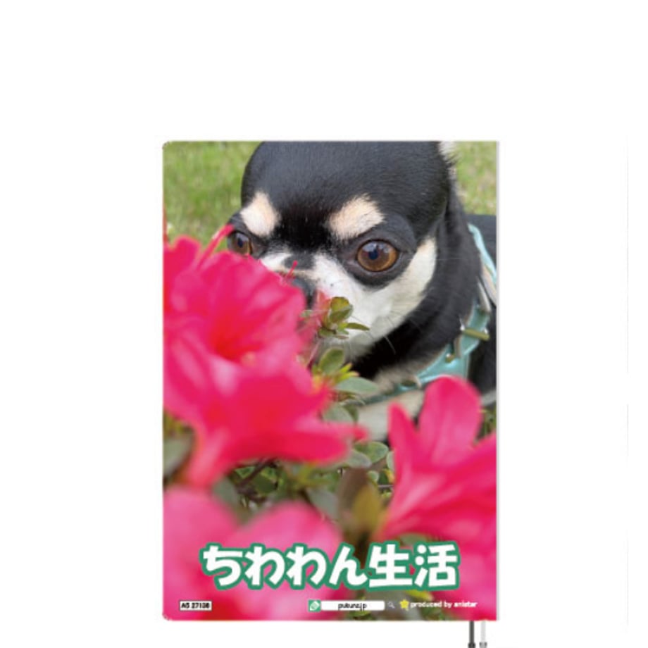 6aaa9da9ebf1f1720a680061
