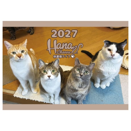【予約販売】 Hana Channel 保護猫ライフ 2027年 壁掛け カレンダー KK27300