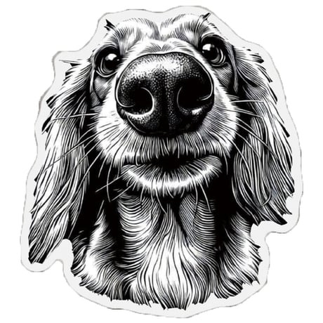 【予約販売】 くぅ＆らいら ミニチュアダックス 犬 ステッカー 3枚セット SU040NN