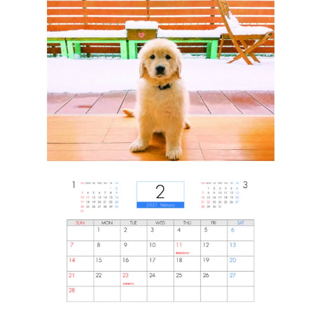 【予約販売】 ゴールデンレトリバー ダン 犬 2027年 壁掛け カレンダー KK27159