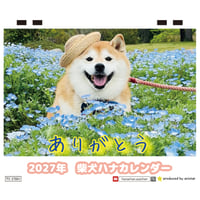 【予約販売】 柴犬ハナ 2027年 卓上 カレンダー TC27238