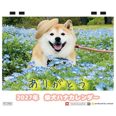 【予約販売】 柴犬ハナ 2027年 卓上 カレンダー TC27238