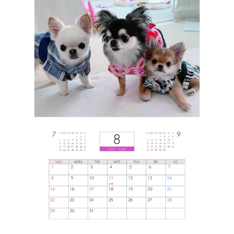 予約販売】 うに&えび&とろ チワワ 犬 2027年 壁掛け カレンダー