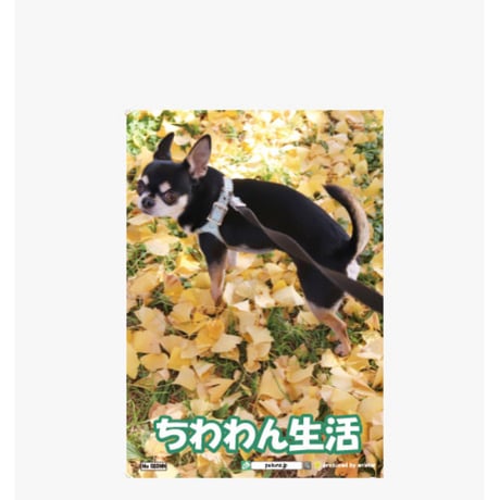 【予約販売】 ちわわん生活 犬 チワワ A5ノート帳 No20 No020NN