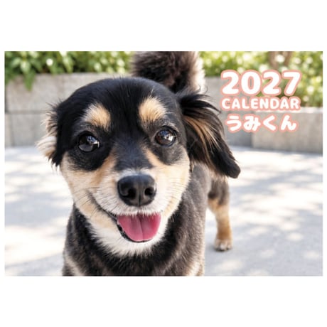 【予約販売】 うみくん アザラシ犬 チワックス 2027年 壁掛け カレンダー KK27221