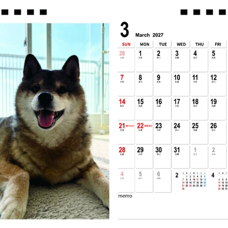 【予約販売】 柴犬のあず花 2027年 卓上 カレンダー TA27183