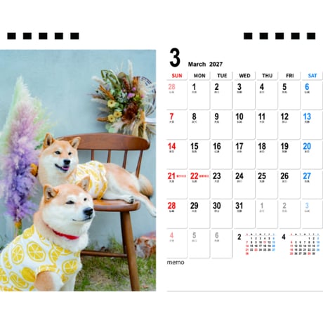 【予約販売】 柴犬の春子＆福 2027年 卓上 カレンダー TC27281
