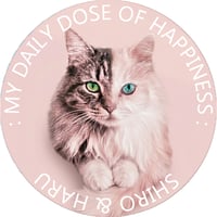 【予約販売】 あつまれちいかまの森 猫 缶バッジ 3個セット GE019NN