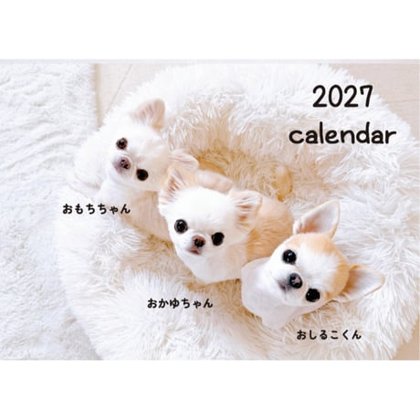【予約販売】 おもちちゃん＆おかゆちゃん＆おしるこくん チワワ 犬 2027年 壁掛け カレンダー KA34196