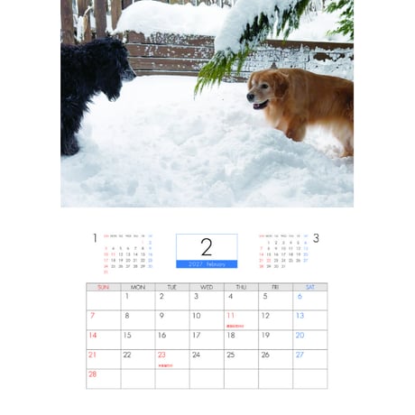 【予約販売】 こーる君たち ゴールデンレトリバー 犬 2027年 壁掛け カレンダー KK27261