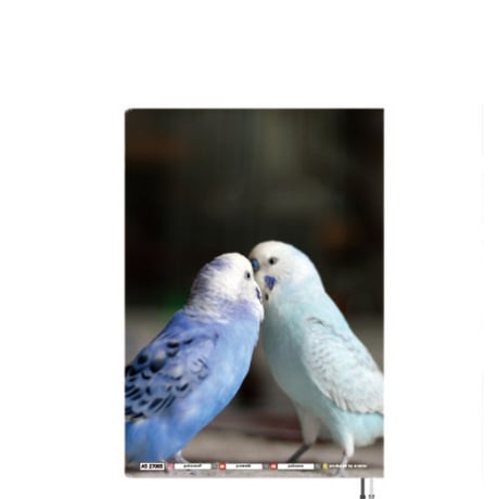 【予約販売】 ポコそら 鳥 インコ 2027年 A5スケジュール帳 A527065