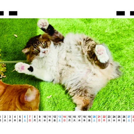 【予約販売】 猫のにゃろめっこ 2027年 卓上全面 カレンダー TC27101