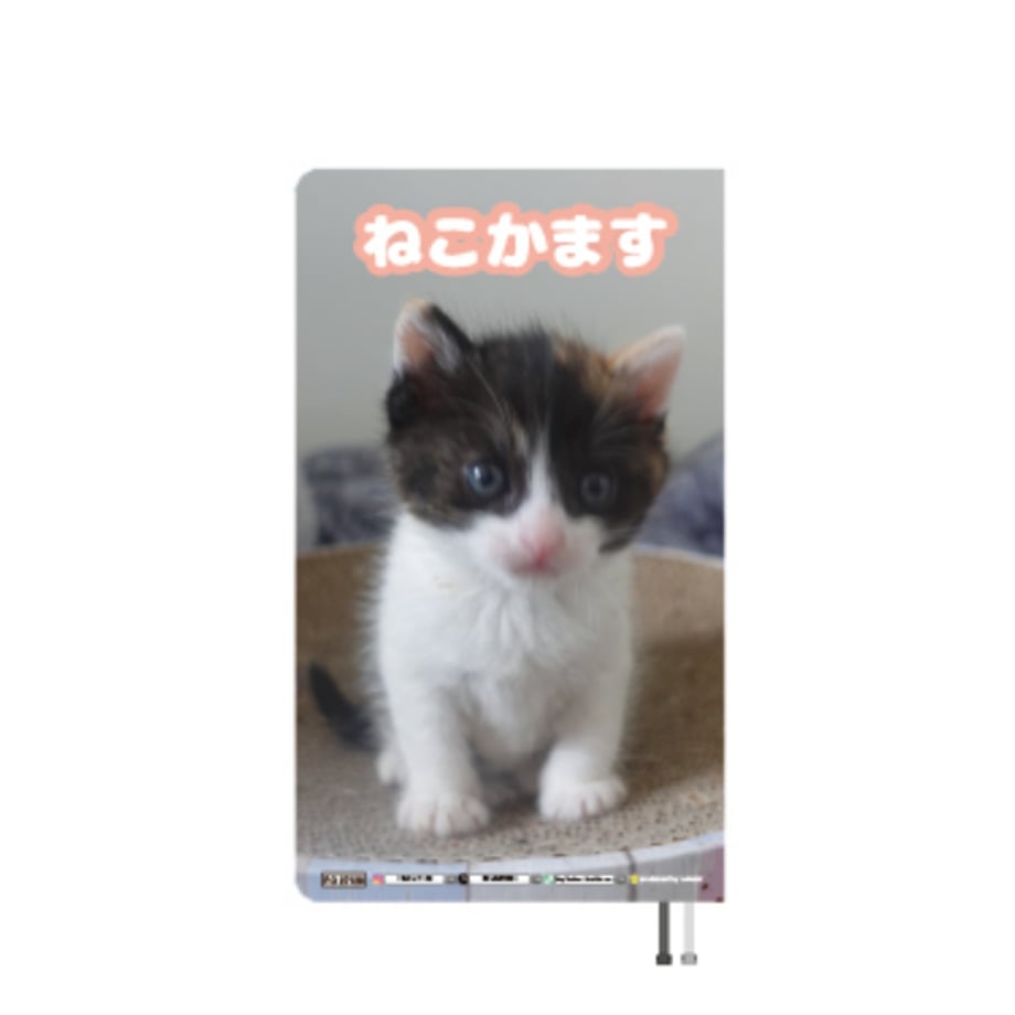6ab67658cd00346822c4fa31