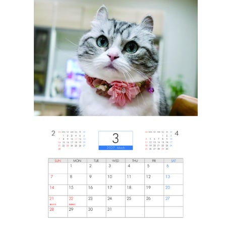 【予約販売】 猫のこまる 2027年 壁掛け カレンダー KK33189