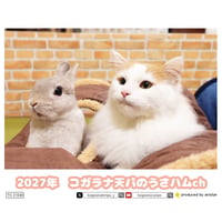 【予約販売】 コガラナ天パのうさハムch うさぎのぽぽちゃん 2027年 卓上 カレンダー TC27230