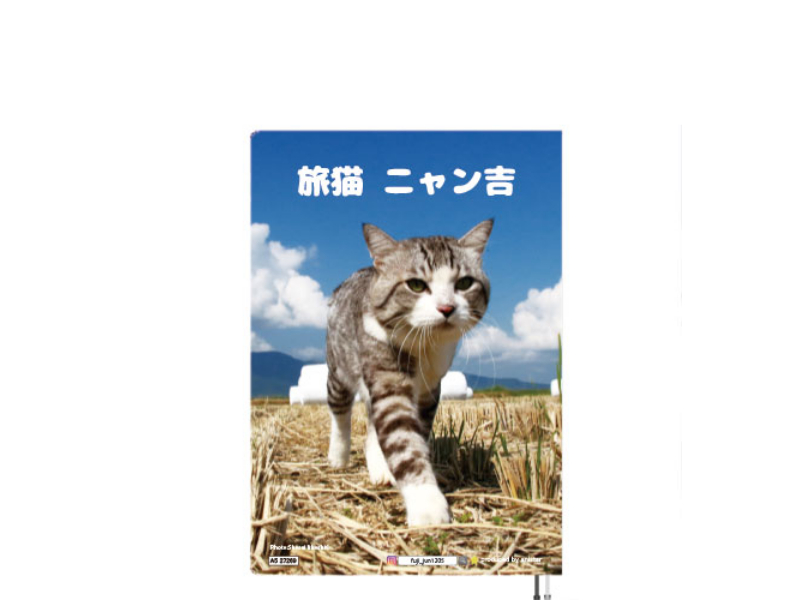 予約販売】 旅猫 ニャン吉 2027年 A5スケジュール手帳 A527269 | ANISTAR
