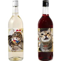 【予約販売】 Hana Channel 保護猫ライフ 2027年 紅白ワイン2本セット 019NN2H