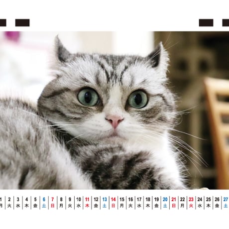 【予約販売】 猫のこまる 2027年 卓上 カレンダー TC27190
