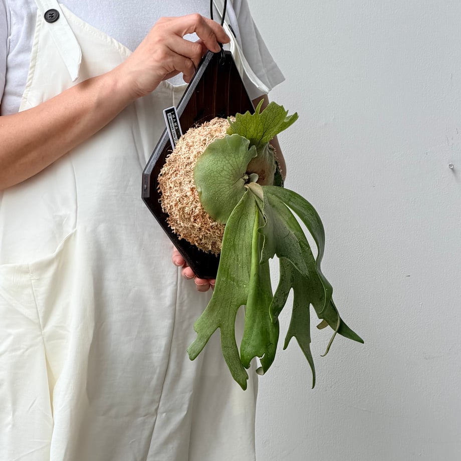6a744663191eb705cf48de3f