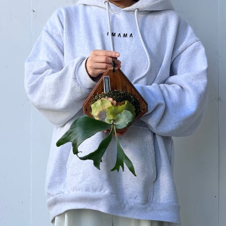 【2026.10/1〜】板付ビカクシダ　P. veitchii 'AR' + P. 'Vellii' mix sporeling