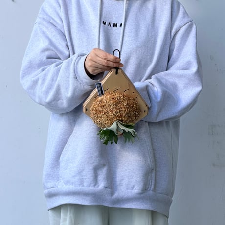 【2026.9/24〜】板付ビカクシダ　P. willinckii 'Nano' sporeling_1