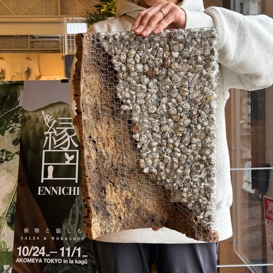 6ae2e0bce6b2e1435a98fbd1